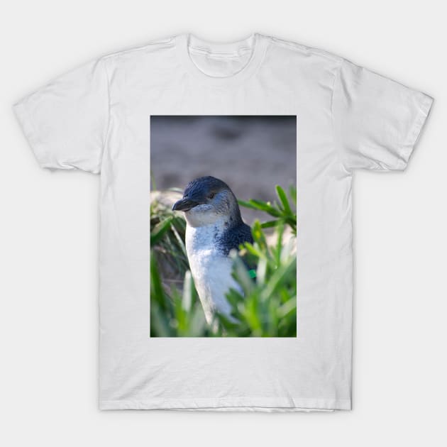 Fairy Penguin T-Shirt by GP1746